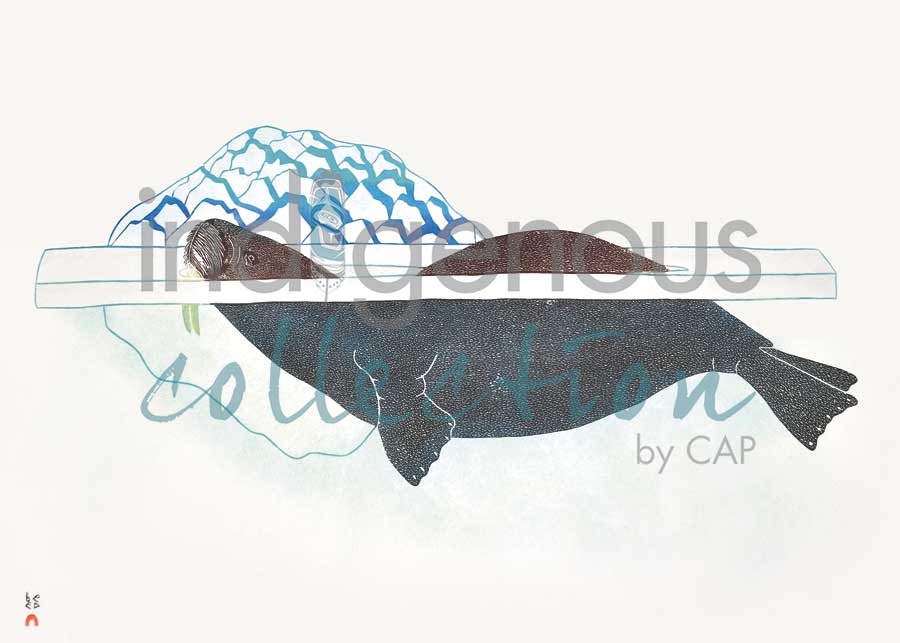 Walrus in Pressure Ice by artist Kananginak Pootoogook