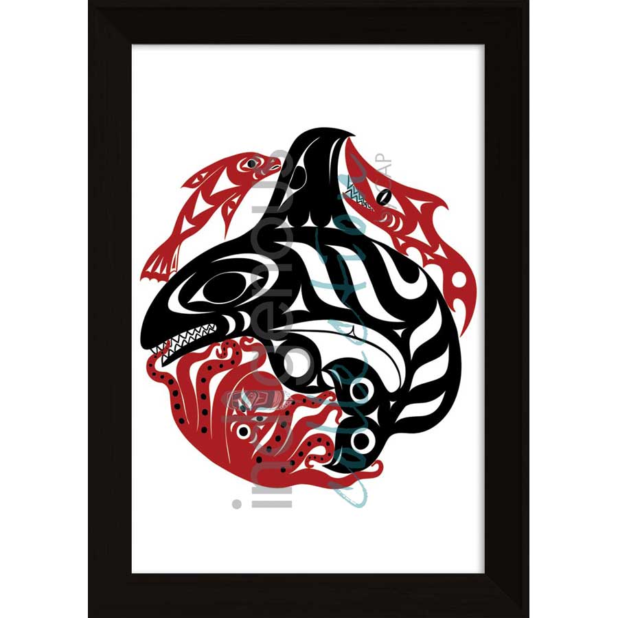 Orcas Octopus by artist Gary Sheena - Coast Salish. Indigenous Collection