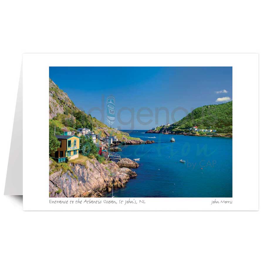 Entrance to the Atlantic Ocean, St John's, NL by artist John Morris