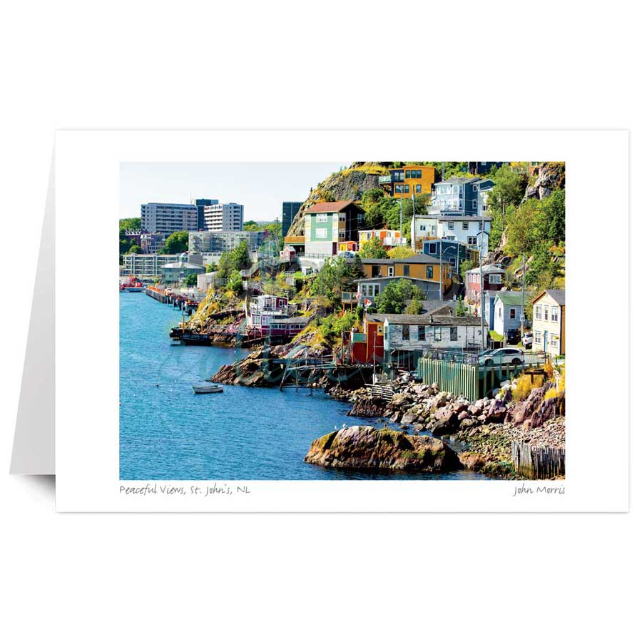 Peaceful¬†Views, St. John's, NL by artist John Morris
