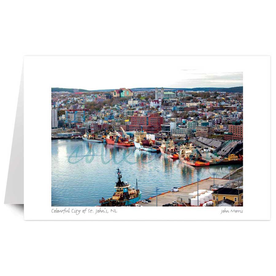 Colourful City of St. John's, NL by artist John Morris