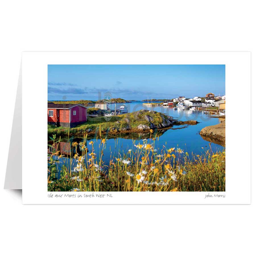Isle aux Morts in South West NL by artist John Morris
