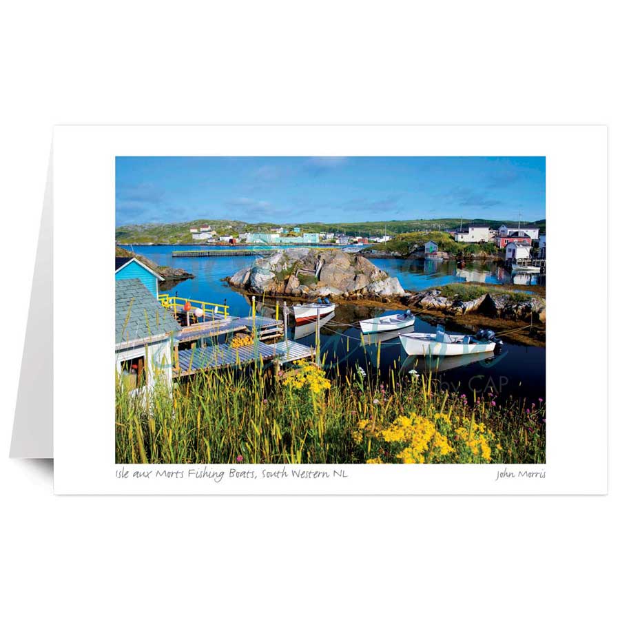 Isle aux Morts Fishing Boats, South Western NL by artist John Morris