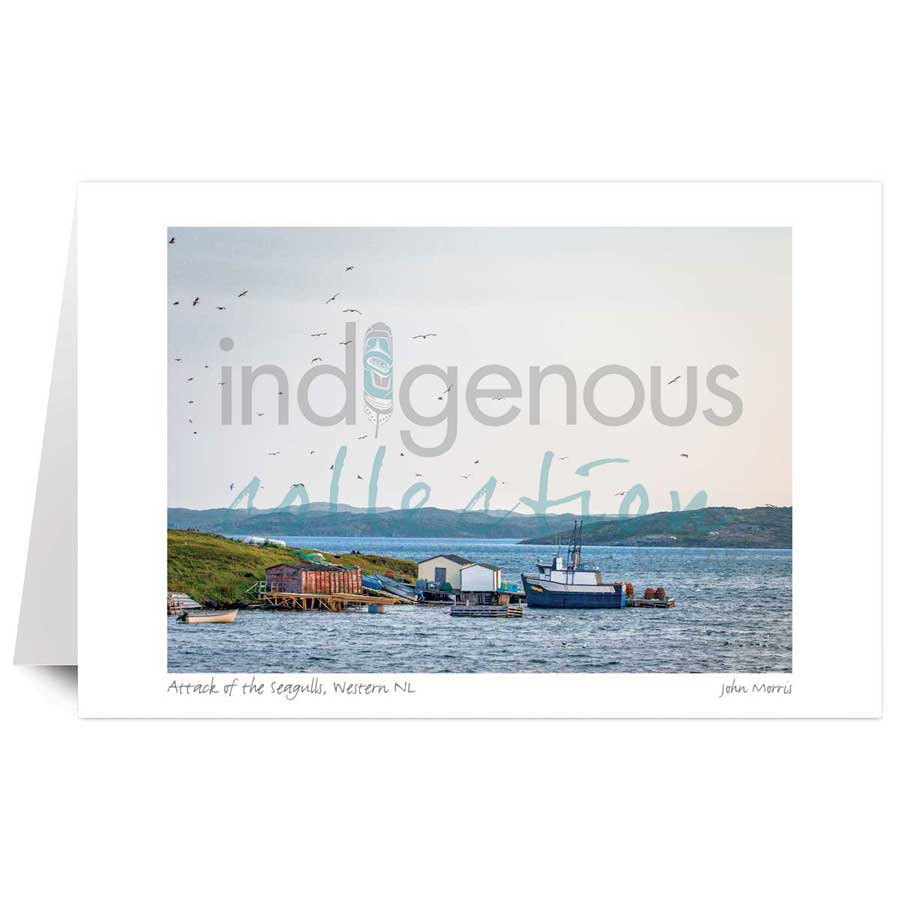 Attack of the Seagulls, Western NL by artist John Morris