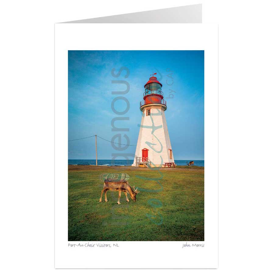 Port-Au-Choix Visitors, NL by artist John Morris