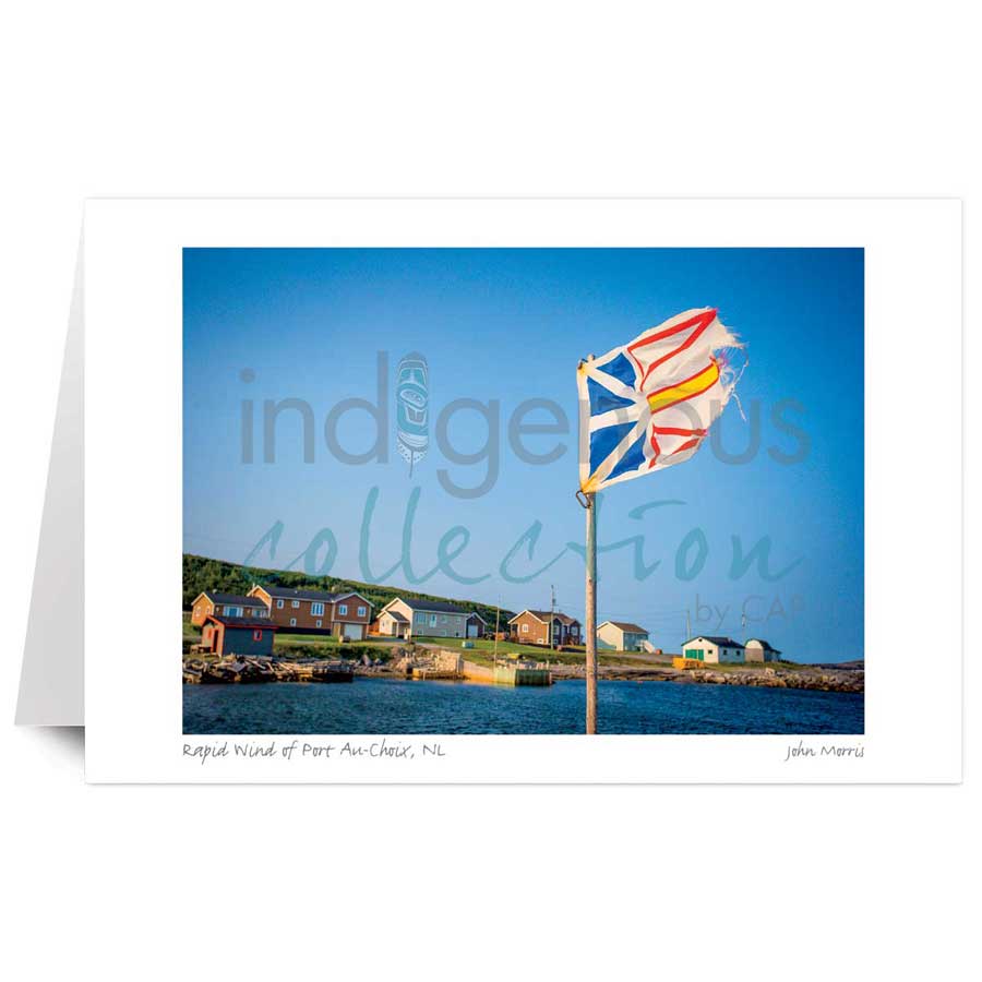 Rapid Wind of Port Au-Choix, NL by artist John Morris