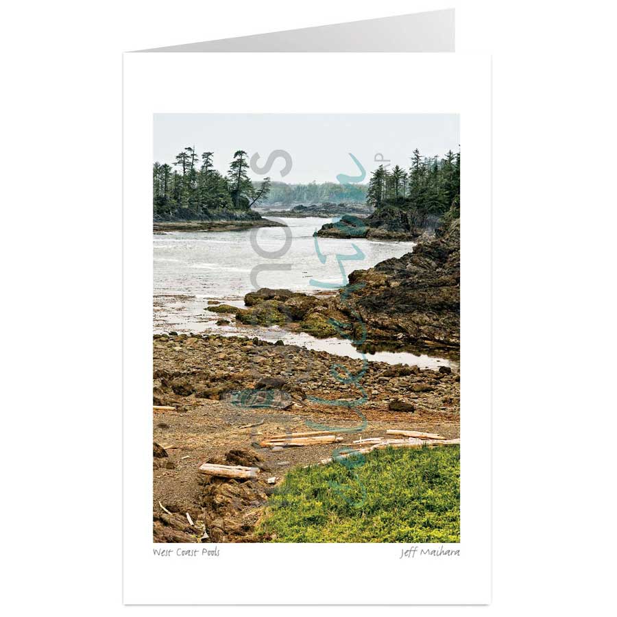 West Coast Pools by artist Jeff Maihara