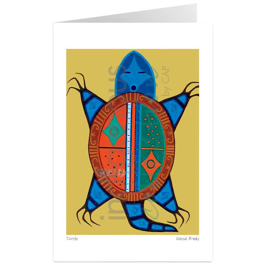 Turtle by artist David Brooks