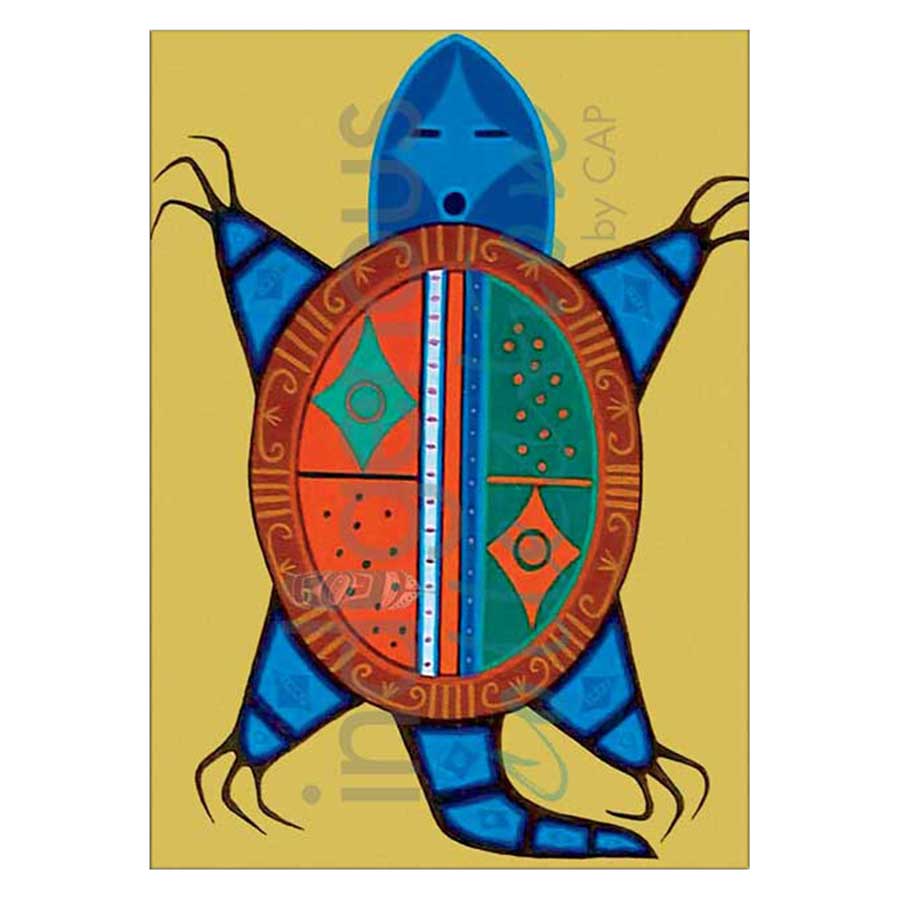 Turtle Canvas Prints