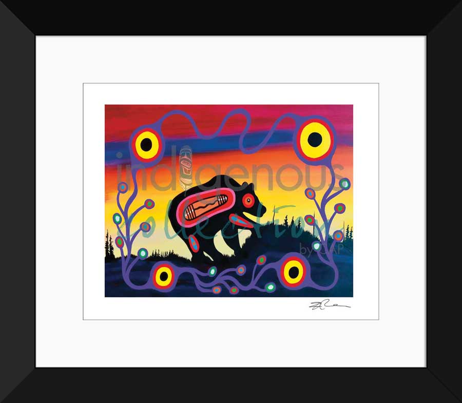 Makwa Limited Edition. Indigenous Collection