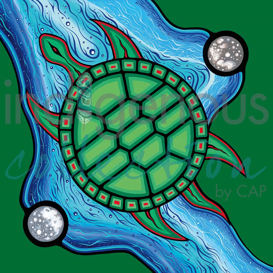 Turtle Moon by artist Jeffrey Red George