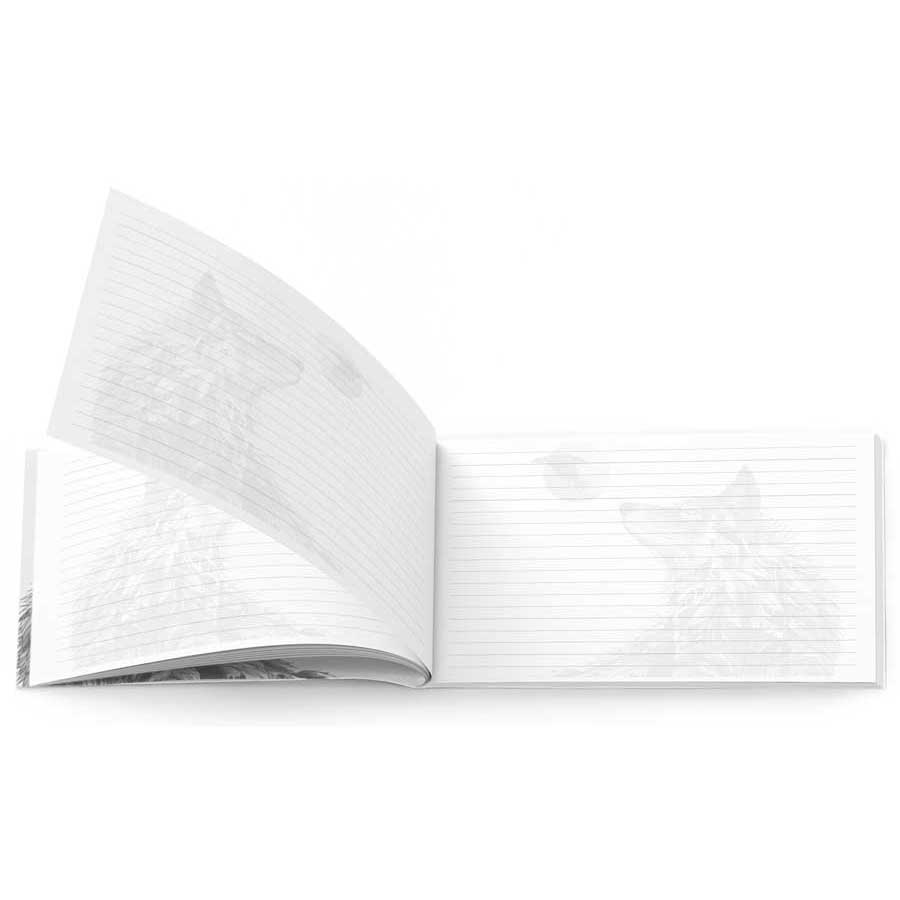 Connected Signature Notebook