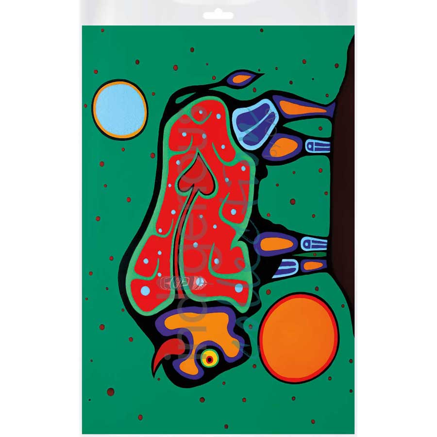 Bison by artist Jim Oskineegish - Ojibway. Indigenous Collection