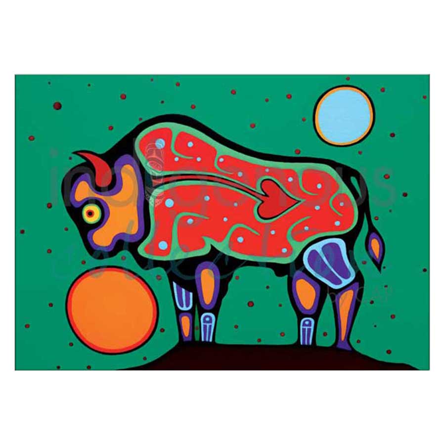 Bison Canvas Prints