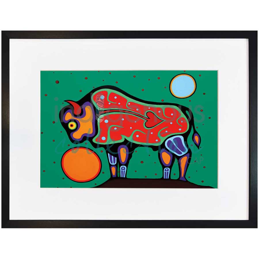 Bison by artist Jim Oskineegish - Ojibway. Indigenous Collection