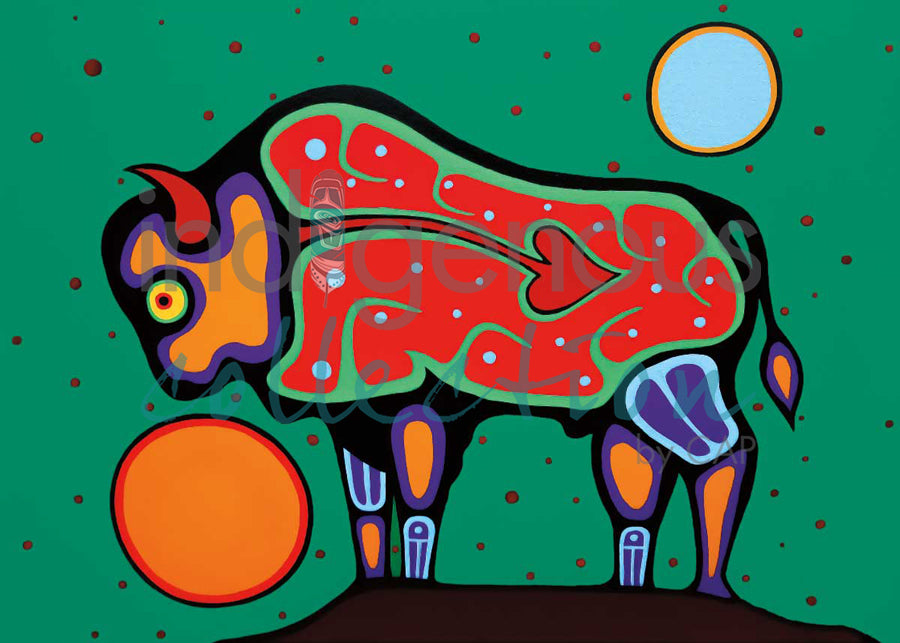 Bison by artist Jim Oskineegish