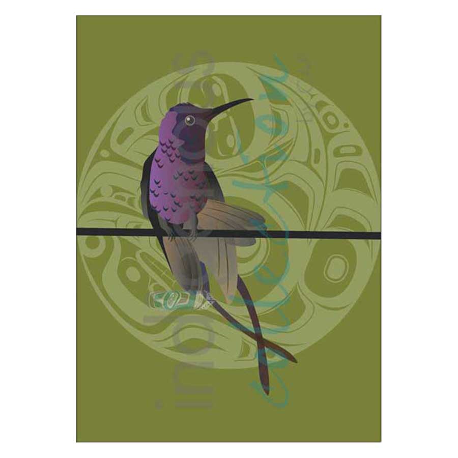 Hummer Butterfly Canvas Prints