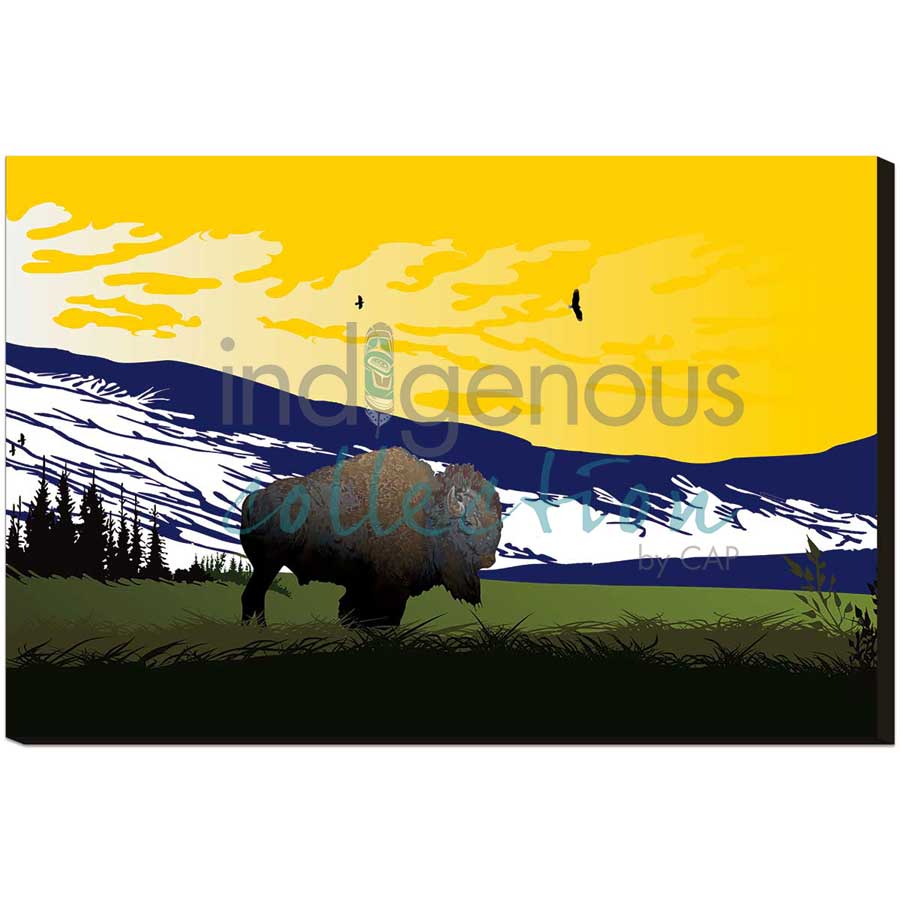 Bison by artist Mark Preston - Tlingit. Indigenous Collection