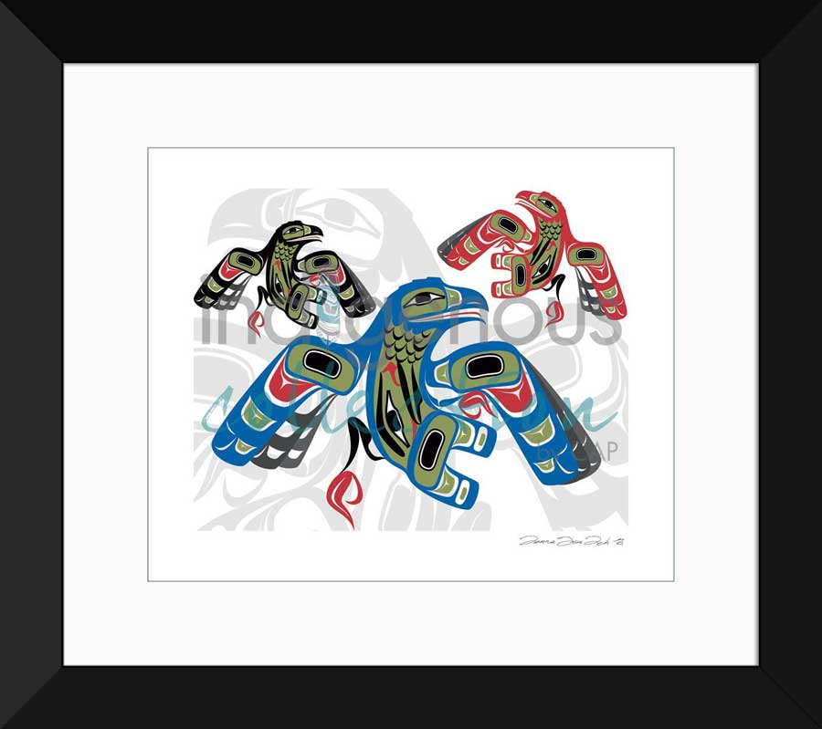 Crow Story Limited Edition. Indigenous Collection