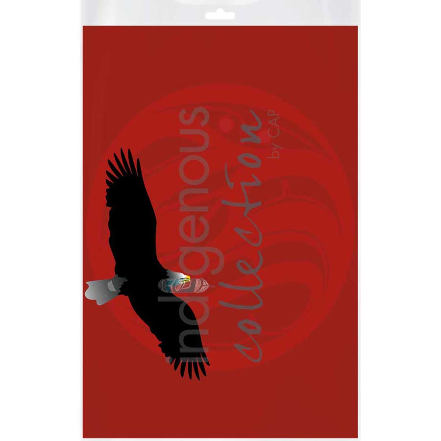 Eagle Red Moon by artist Mark Preston - Tlingit. Indigenous Collection