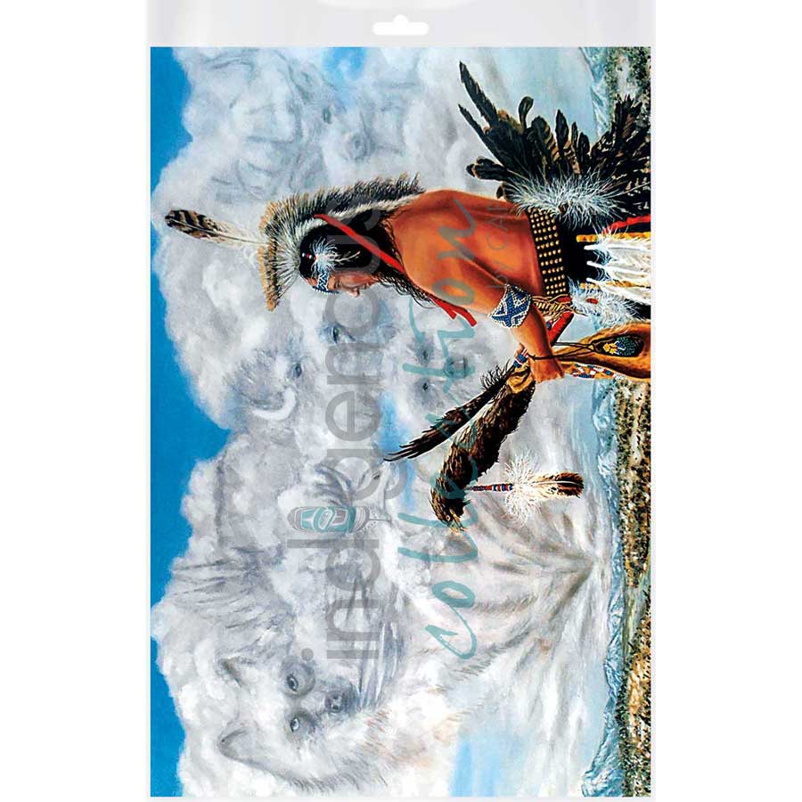 Seeker of Wisdom by artist John Balloue - Cherokee. Indigenous Collection