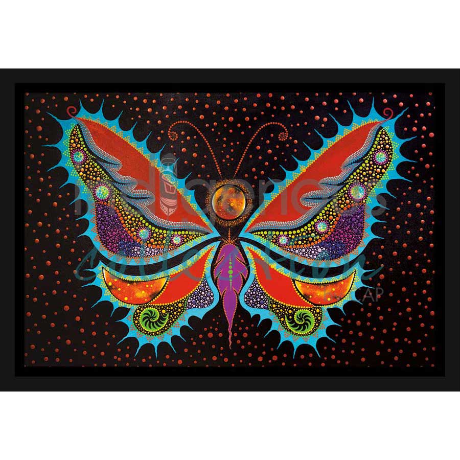 Evolution Butterfly by artist Tracey Metallic - Mi'gmaq. Indigenous Collection