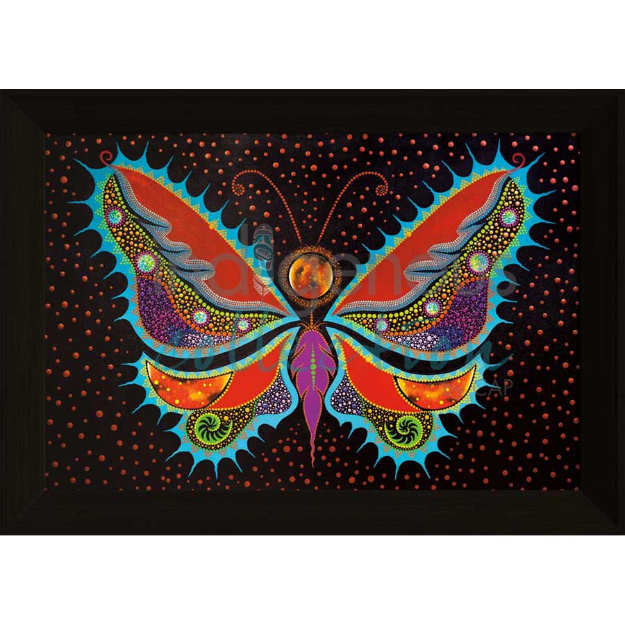 Evolution Butterfly by artist Tracey Metallic - Mi'gmaq. Indigenous Collection