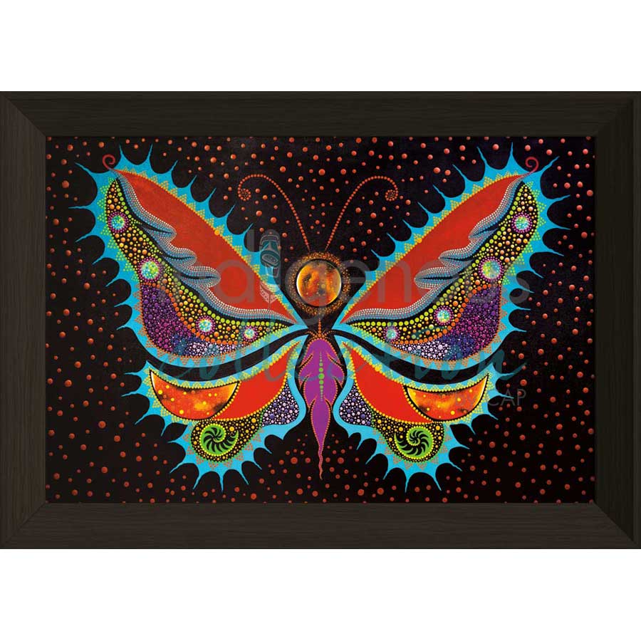 Evolution Butterfly by artist Tracey Metallic - Mi'gmaq. Indigenous Collection