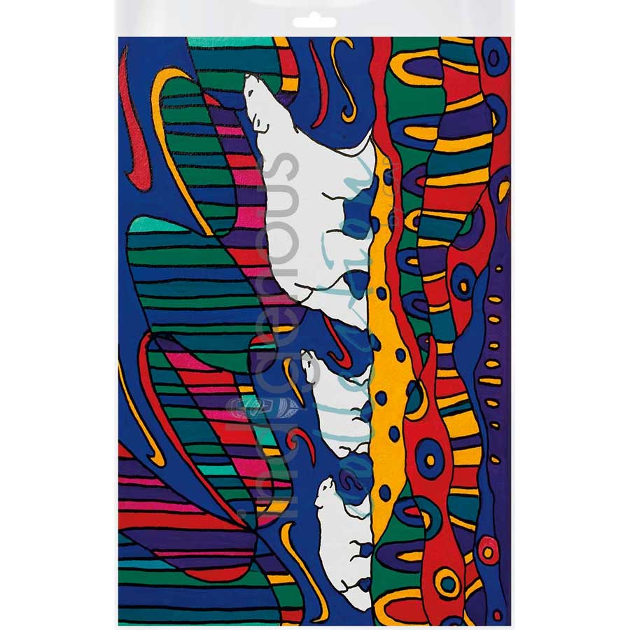 Aurora Wandering by artist Dawn Oman - Denesuline (Chipewyan). Indigenous Collection