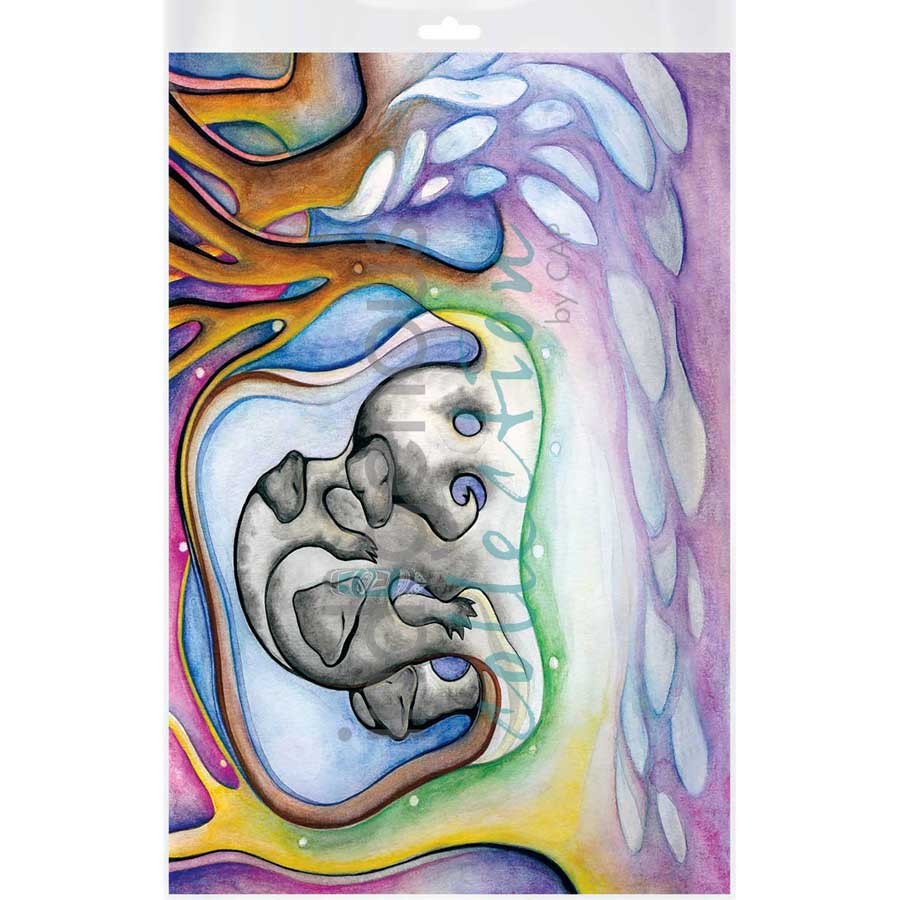 Inner Memories / Mémoires Ancestrales by artist Nathalie Coutou - Mi’kmaq Métis. Indigenous Collection
