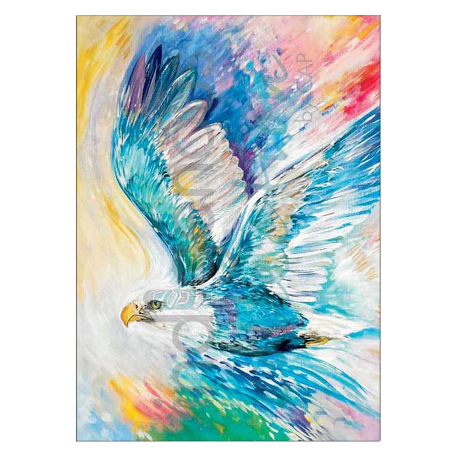 Eagle of Many Colours Canvas Prints