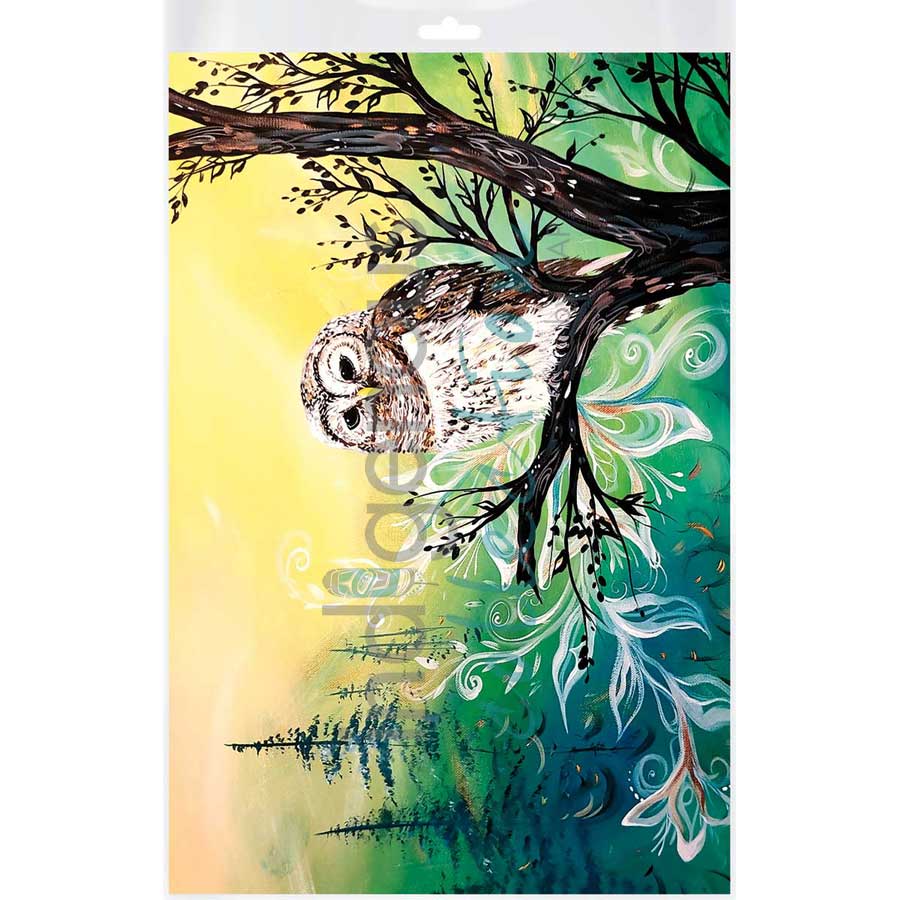 Wise Owl by artist Carla Joseph - Métis/Cree. Indigenous Collection