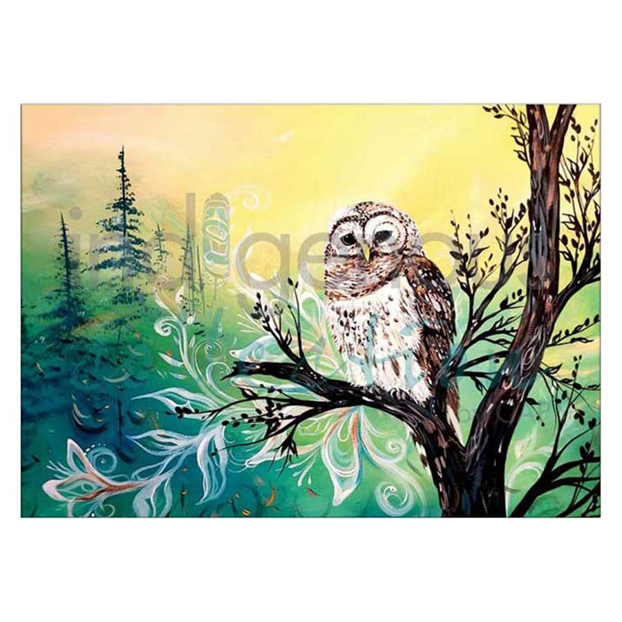 Wise Owl Canvas Prints