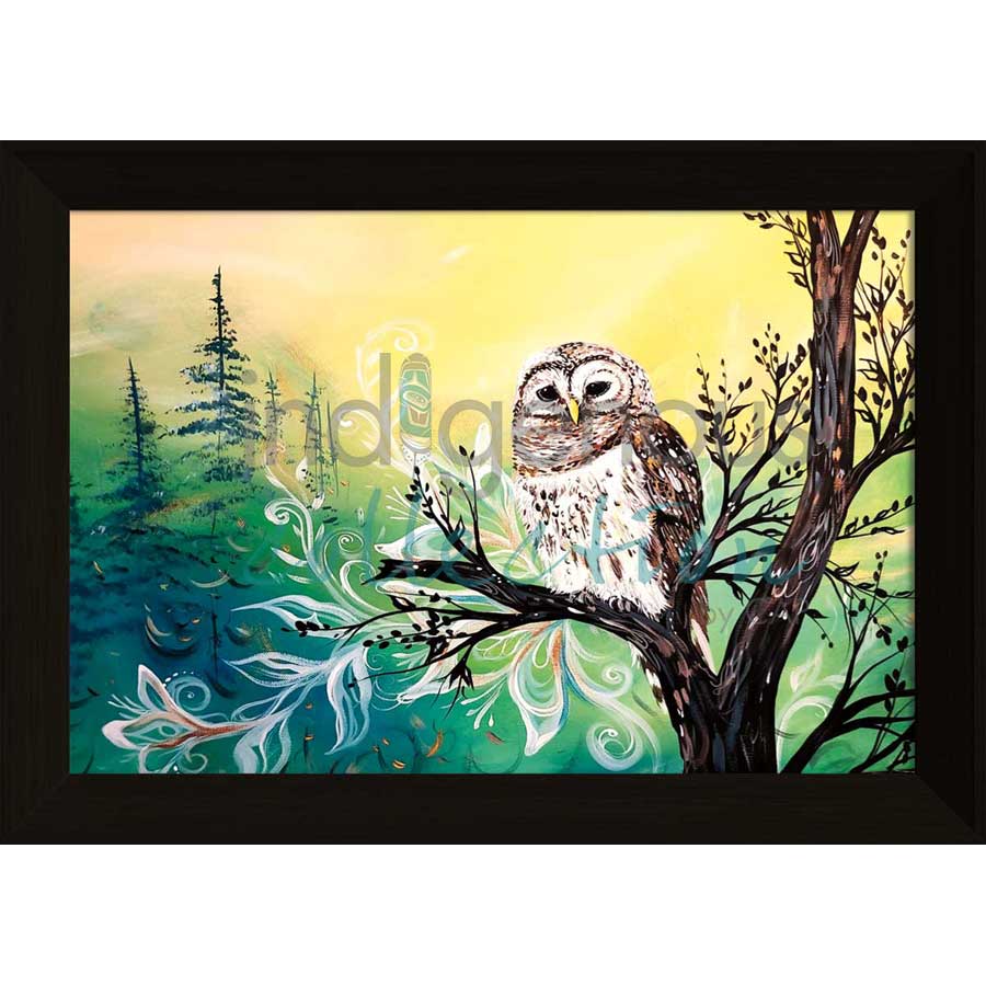 Wise Owl by artist Carla Joseph - Métis/Cree. Indigenous Collection