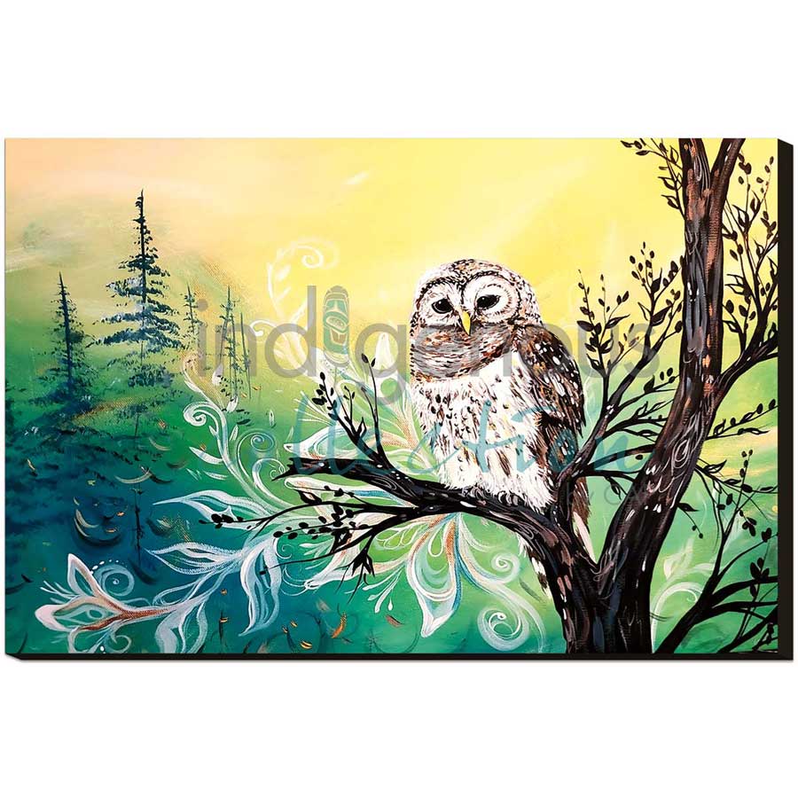 Wise Owl by artist Carla Joseph - Métis/Cree. Indigenous Collection