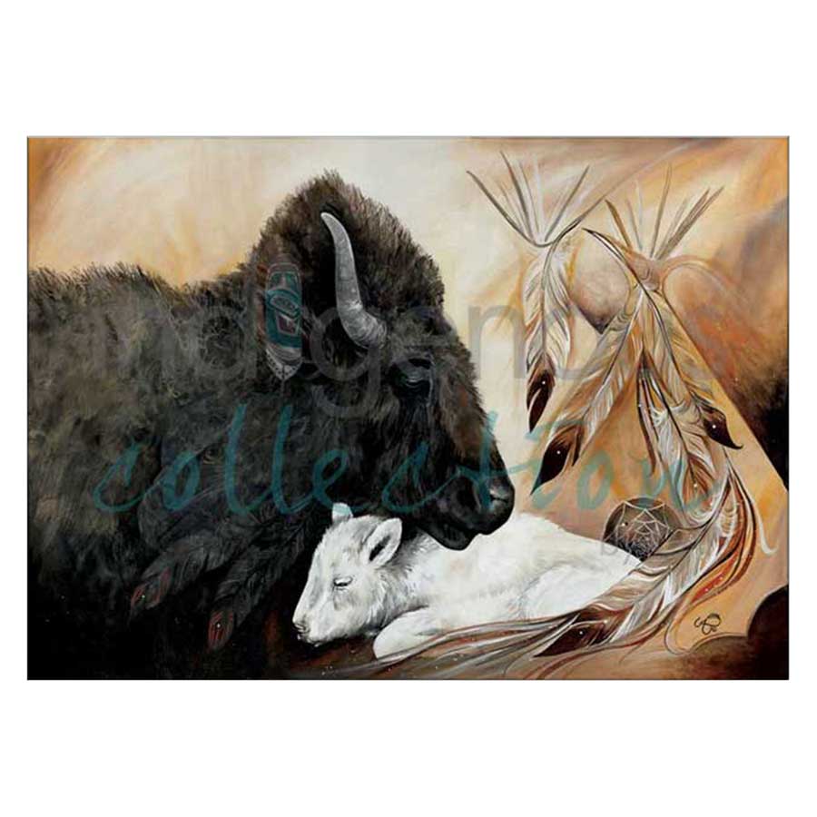 White Buffalo Canvas Prints