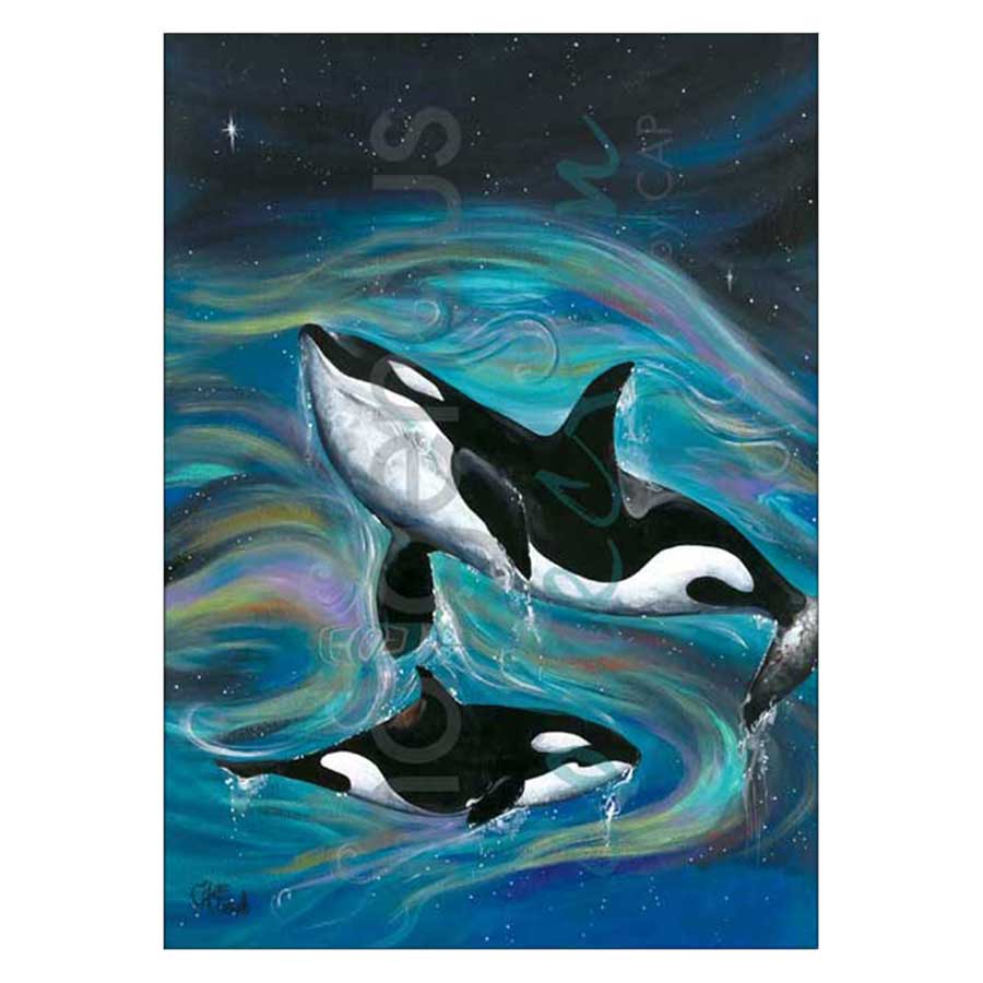 Killer Whales Canvas Prints