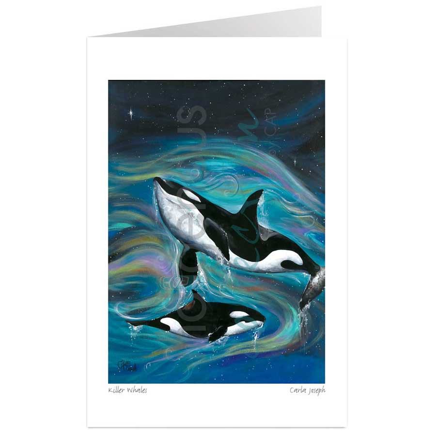 Killer Whales by artist Carla Joseph