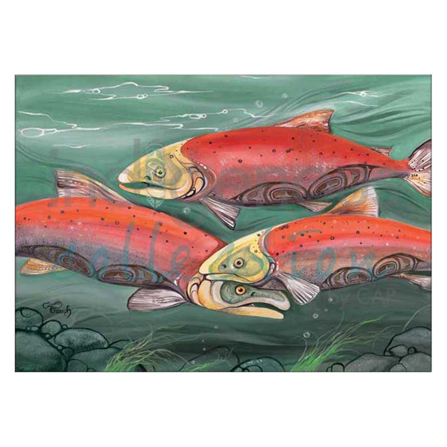 Salmon Run Canvas Prints