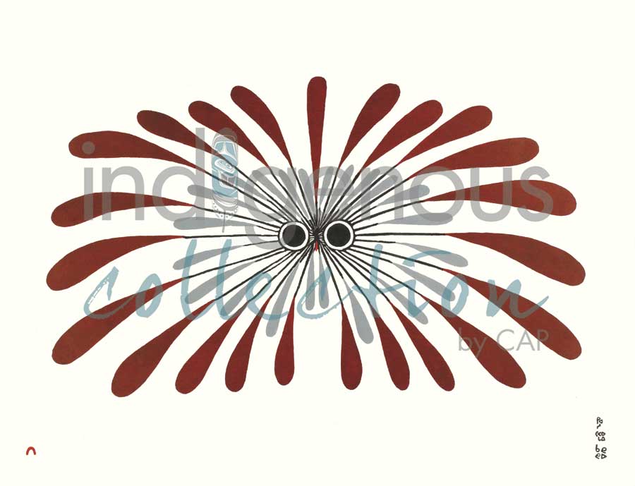 Burst of Plumage by artist Padloo Samayualie