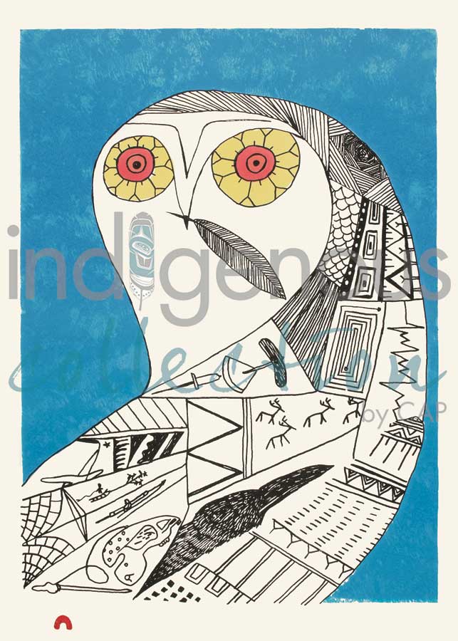 Eclectic Owl by artist Ningiukulu Teevee