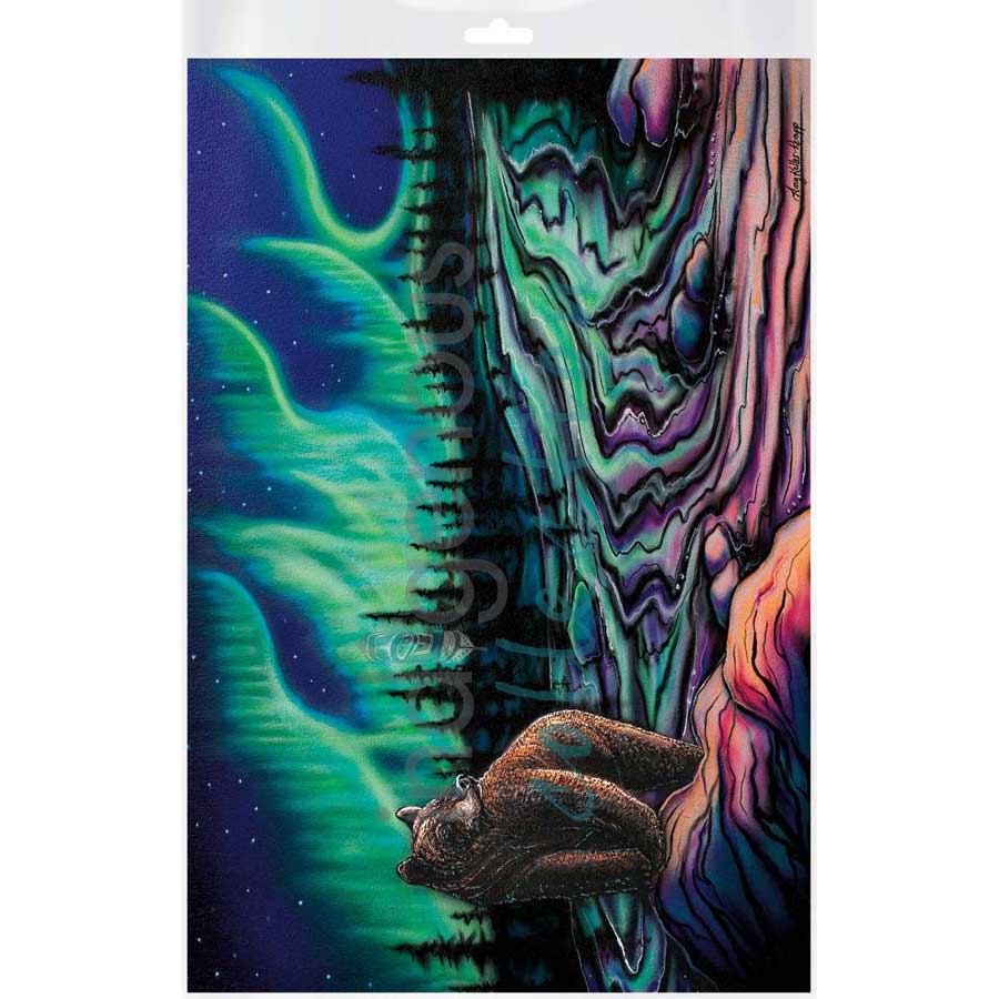 Sky Dance - Northern Light by artist Amy Keller-Rempp - Mohawk. Indigenous Collection