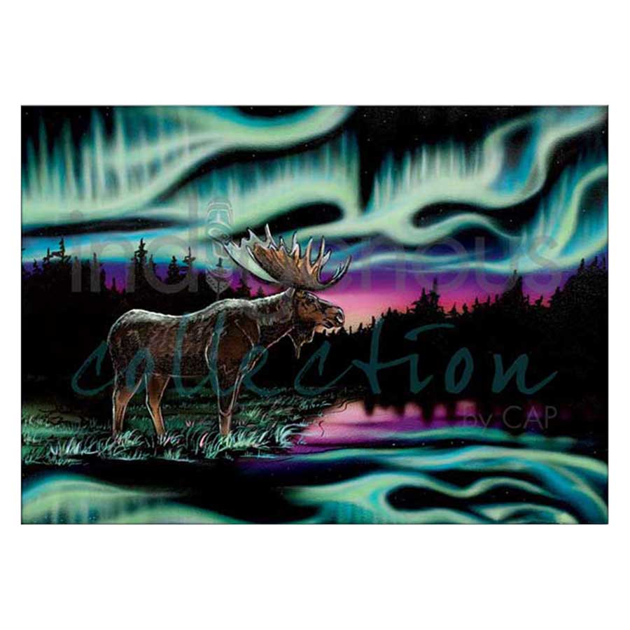 Sky Dance - King of the North Canvas Prints