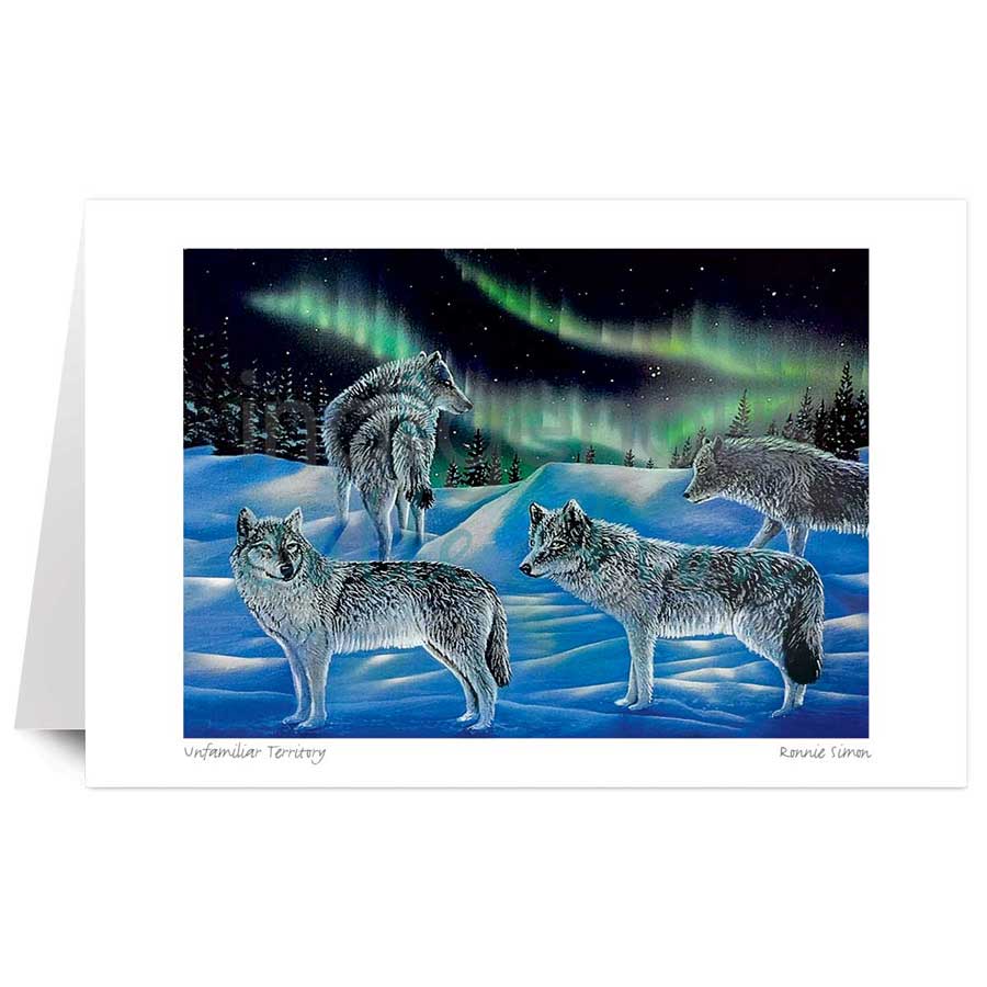 Unfamiliar Territory by artist Ronnie Simon