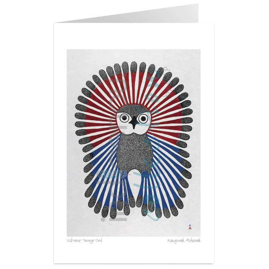 Vibrant Young Owl by artist Kenojuak Ashevak