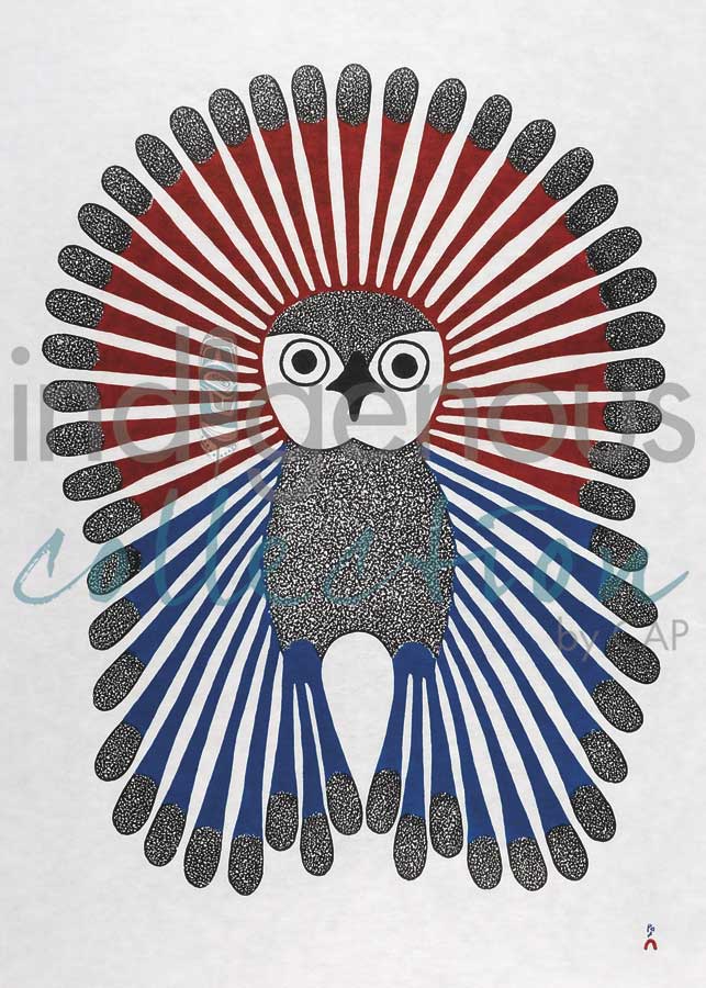 Vibrant Young Owl by artist Kenojuak Ashevak