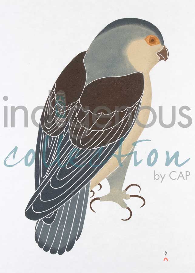 Watchful Falcon by artist Kananginak Pootoogook