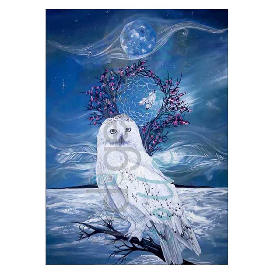Midnight Wisdom Canvas Prints
