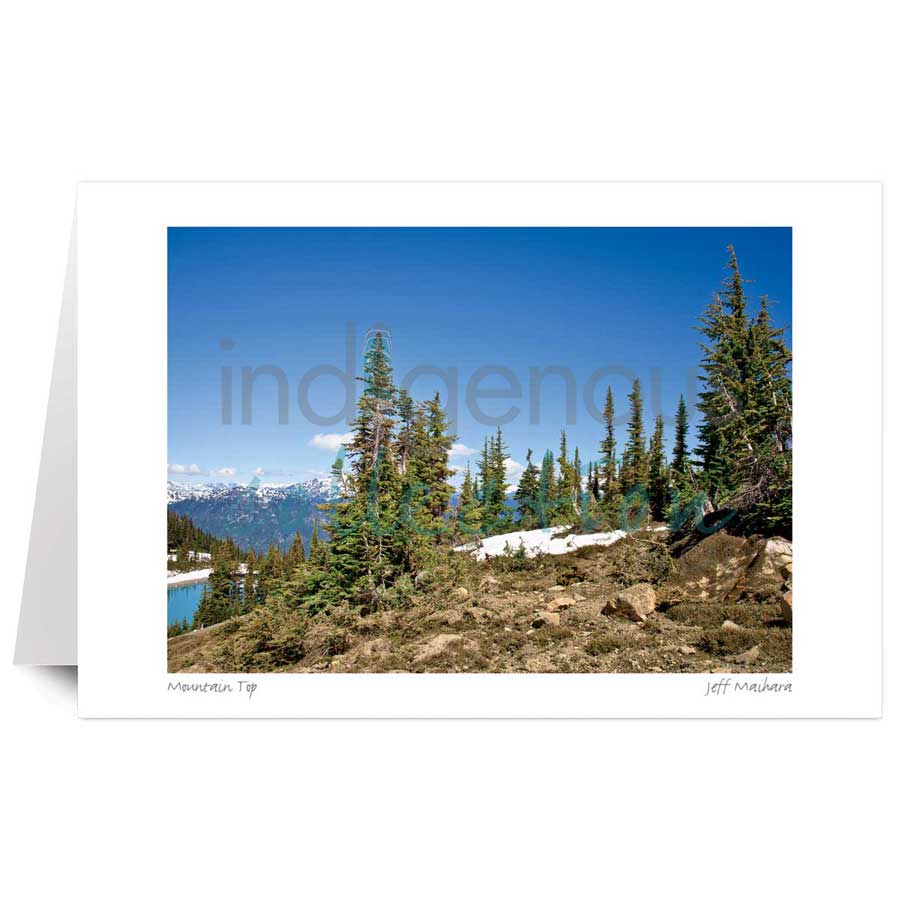 Mountain Top by artist Jeff Maihara