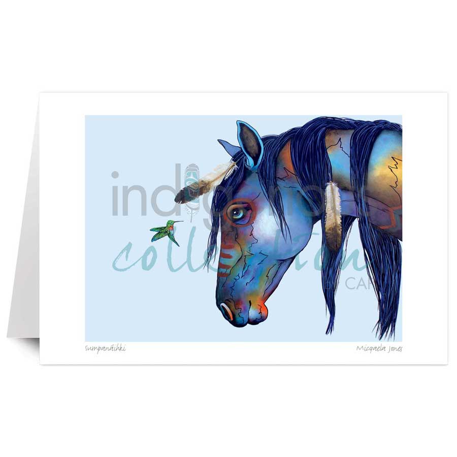 Sumpan√°ihki by artist Micqaela Jones